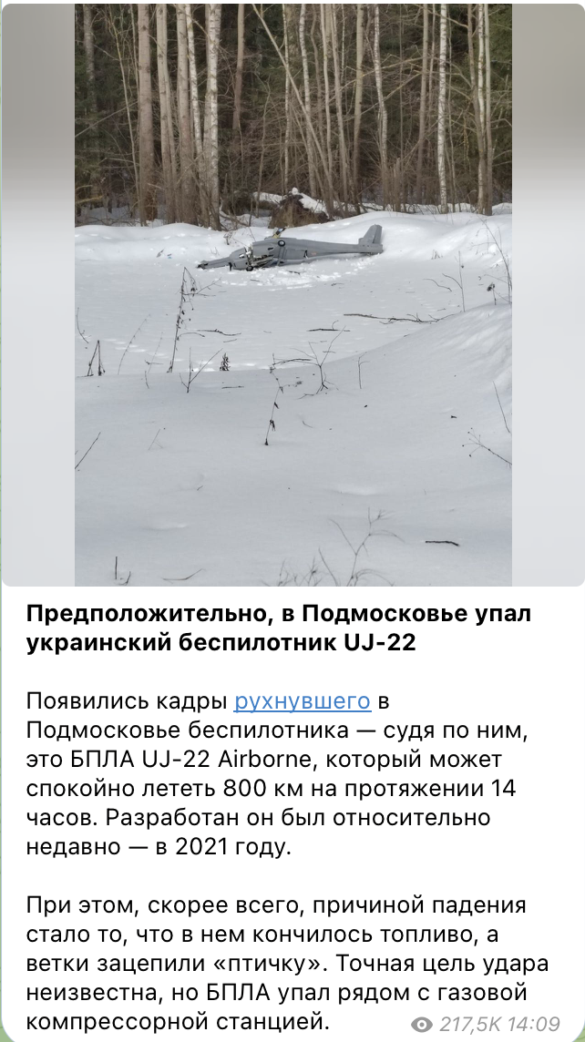ПВО не помогает. Под Москвой россиян от беспилотников &quot;спасают&quot; ветки деревьев